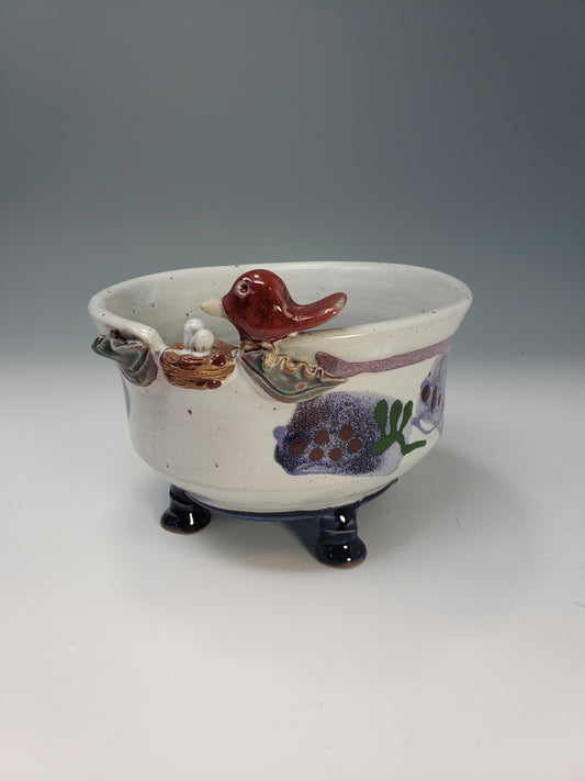 Bird Bowl