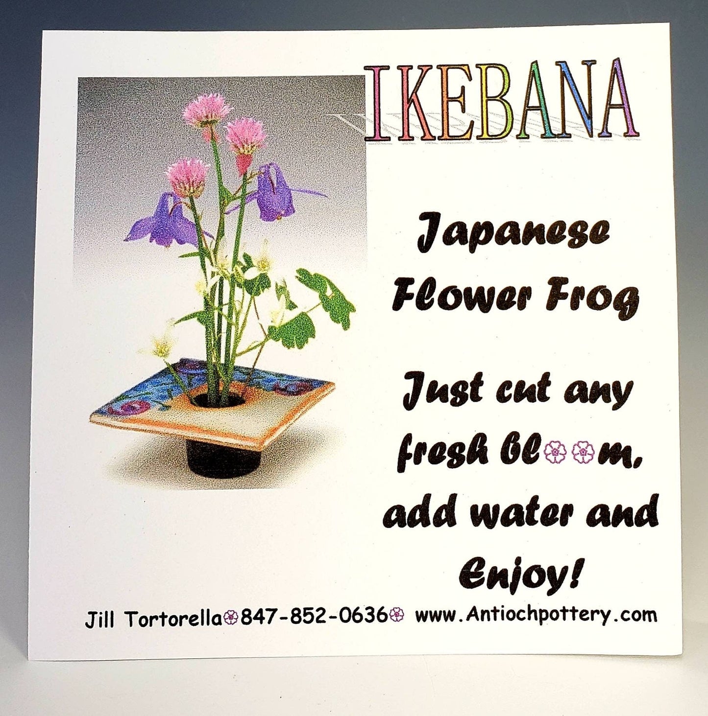 Ikebana Flower Frog Vase