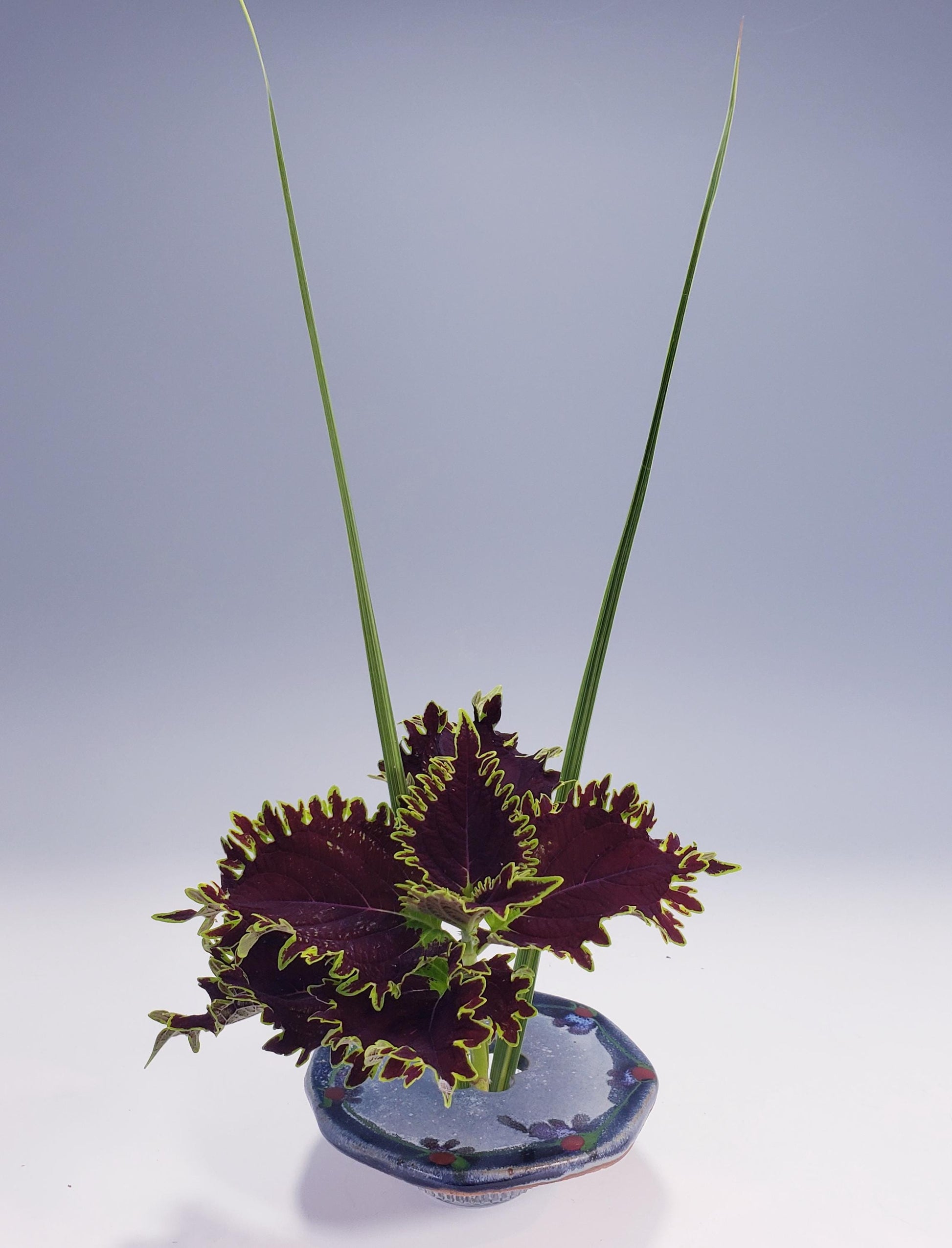 Ikebana Flower Frog Vase